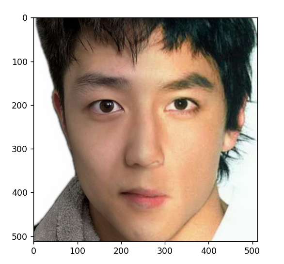 Face Blending